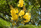 Jornada por los 10 años del Jardín Botánico de la UNLu